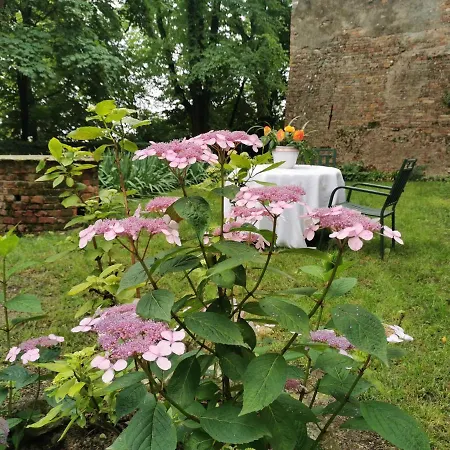 Castello Di Robella